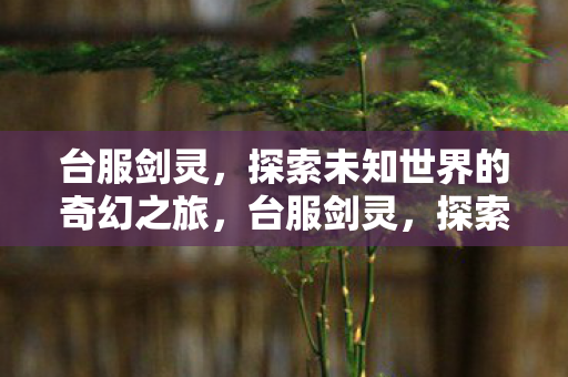 探索未知世界的奇幻之旅图片