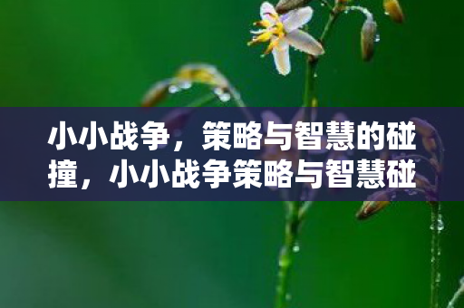 小小战争策略与智慧碰撞图片