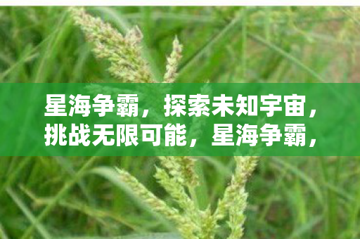 探索未知宇宙图片