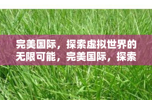 探索虚拟世界的无限可能图片