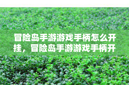 冒险岛手游游戏手柄开挂方法揭秘图片
