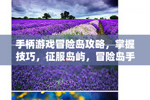 手柄游戏冒险岛攻略图片