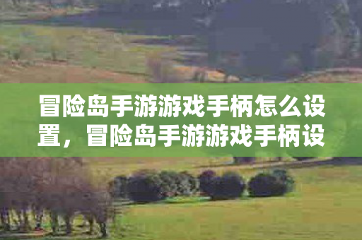 冒险岛手游游戏手柄怎么设置图片