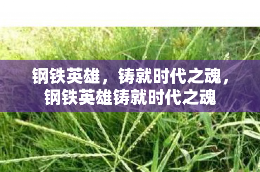 钢铁英雄铸就时代之魂图片
