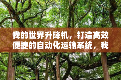 打造高效便捷的自动化运输系统图片