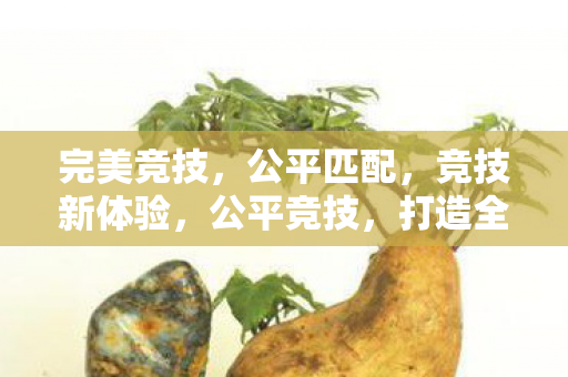 打造全新游戏体验图片