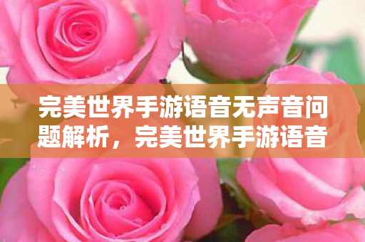 完美世界手游语音无声音问题解析图片
