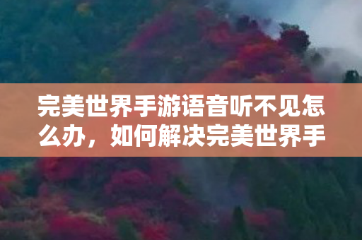 如何解决完美世界手游语音听不见的问题图片