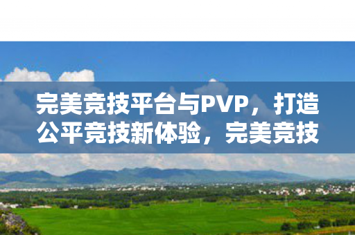 完美竞技平台与PVP图片