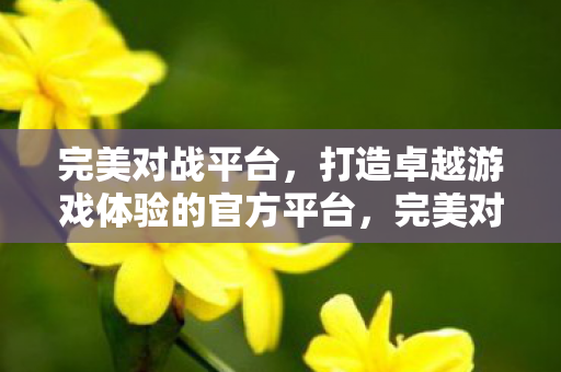打造卓越游戏体验的官方平台图片