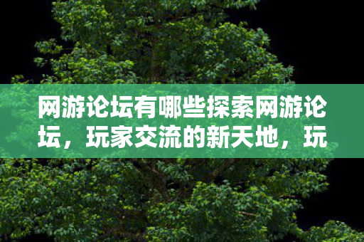 网游论坛有哪些探索网游论坛图片