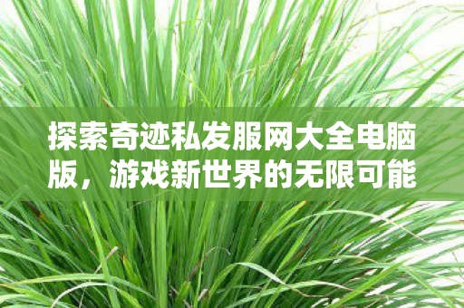 探索奇迹私发服网大全电脑版图片