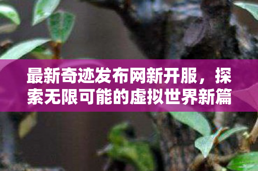 探索无限可能的虚拟世界新篇章图片