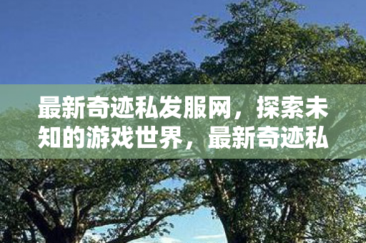 探索未知游戏世界的奇妙之旅图片