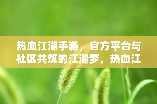 官方平台与社区携手共筑江湖梦图片