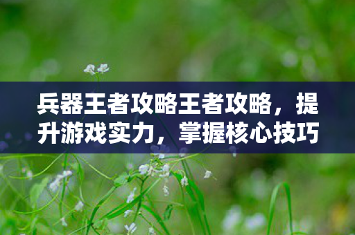 兵器王者攻略王者攻略图片