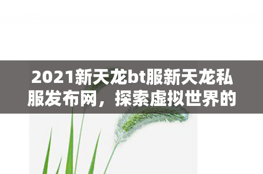 2021新天龙bt服新天龙私服发布网图片
