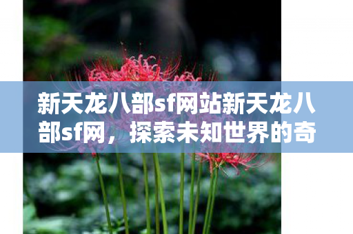 新天龙八部sf网站新天龙八部sf网图片