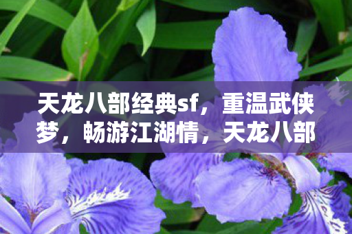 天龙八部经典sf图片