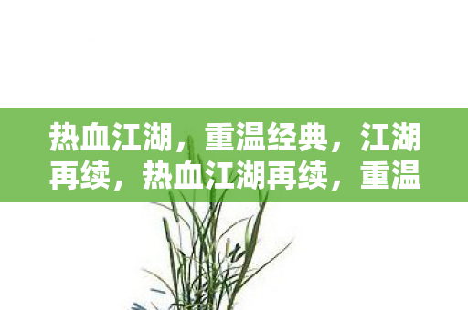 热血江湖再续图片