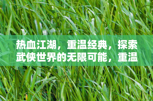 探索武侠世界的无限可能图片