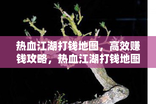 热血江湖打钱地图图片