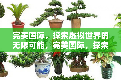探索虚拟世界的无限可能图片