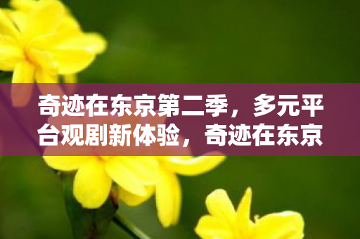 多元平台观剧新体验图片