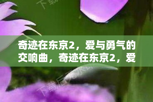 爱与勇气的交响曲图片