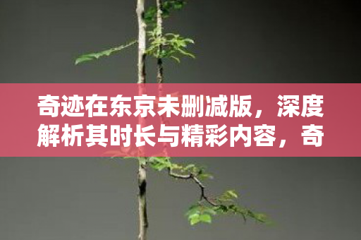 深度解析其时长与精彩内容图片