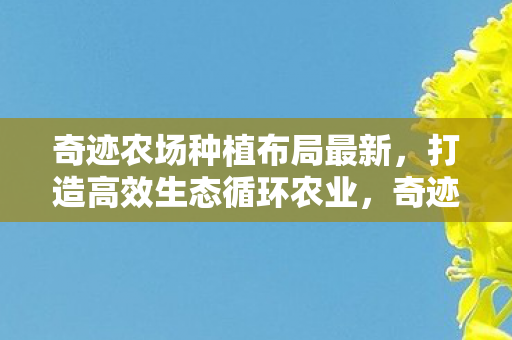 奇迹农场打造高效生态循环农业图片