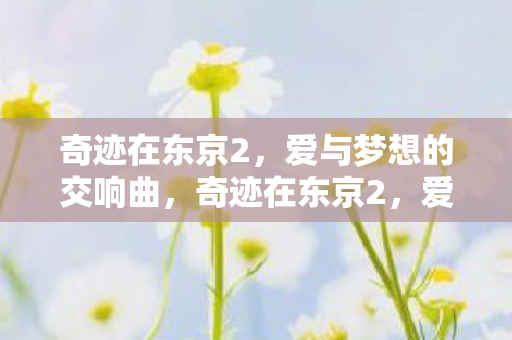 爱与梦想的交响曲图片