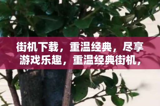 街机下载,重温经典,尽享游戏乐趣,重温经典街机,尽享游戏乐趣下载 街机下载,重温经典,尽享游戏乐趣,重温经典街机,尽享游戏乐趣下载