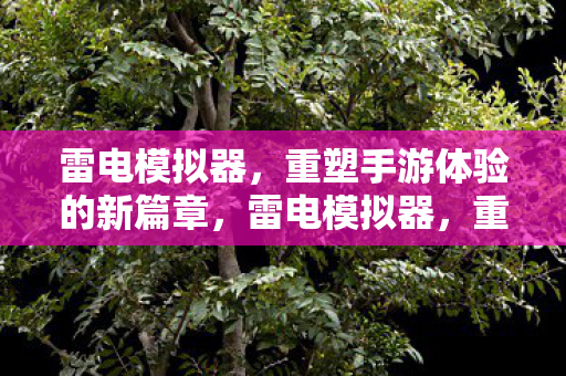 雷电模拟器,重塑手游体验的新篇章,雷电模拟器,重塑手游体验的新篇章 雷电模拟器,重塑手游体验的新篇章,雷电模拟器,重塑手游体验的新篇章