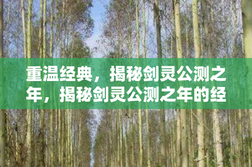 揭秘剑灵公测之年的经典回忆图片