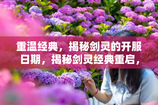 揭秘剑灵的开服日期图片