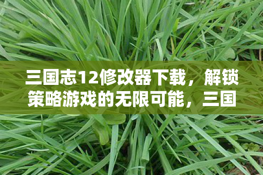 解锁策略游戏的无限可能图片