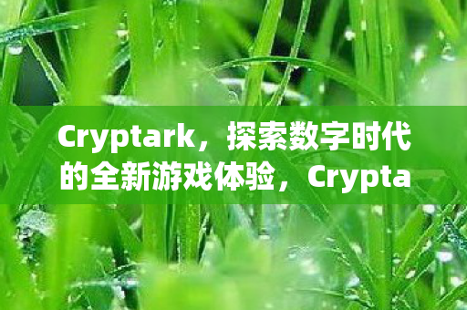 探索数字时代的全新游戏体验图片