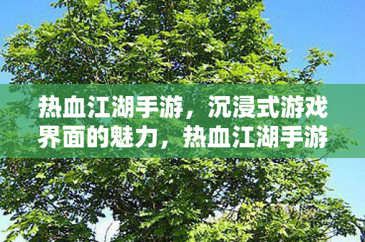 沉浸式游戏界面的魅力图片