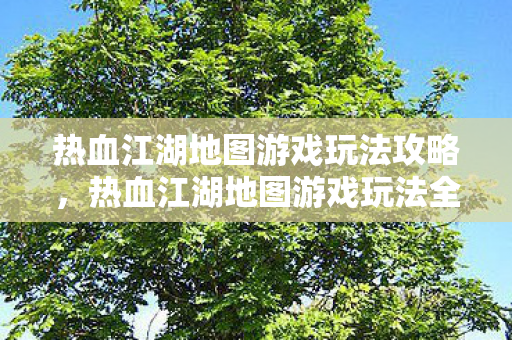 热血江湖地图游戏玩法全攻略图片