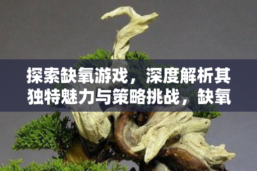 探索缺氧游戏，深度解析其独特魅力与策略挑战，缺氧游戏，深度解析独特魅力与策略挑战