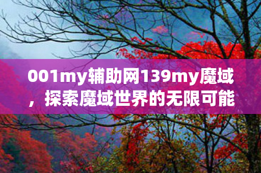 001my辅助网139my魔域图片