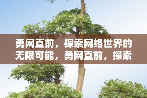 探索网络世界的无限可能图片