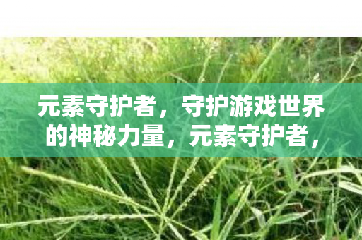 守护游戏世界的神秘力量图片