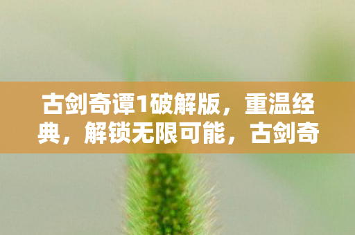 古剑奇谭1破解版图片