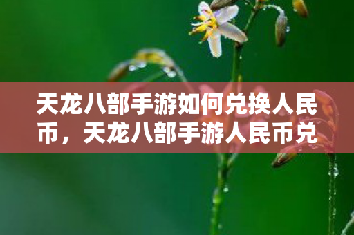 天龙八部手游如何兑换人民币图片