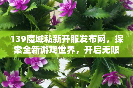 139魔域私新开服发布网图片