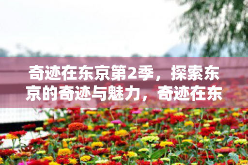 探索东京的奇迹与魅力图片