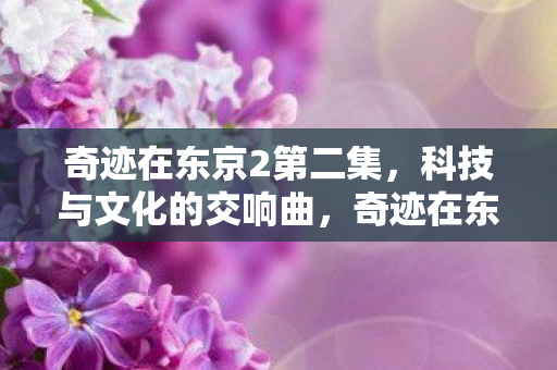 奇迹在东京2第二集图片