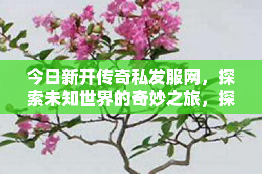 探索未知世界的奇妙之旅图片